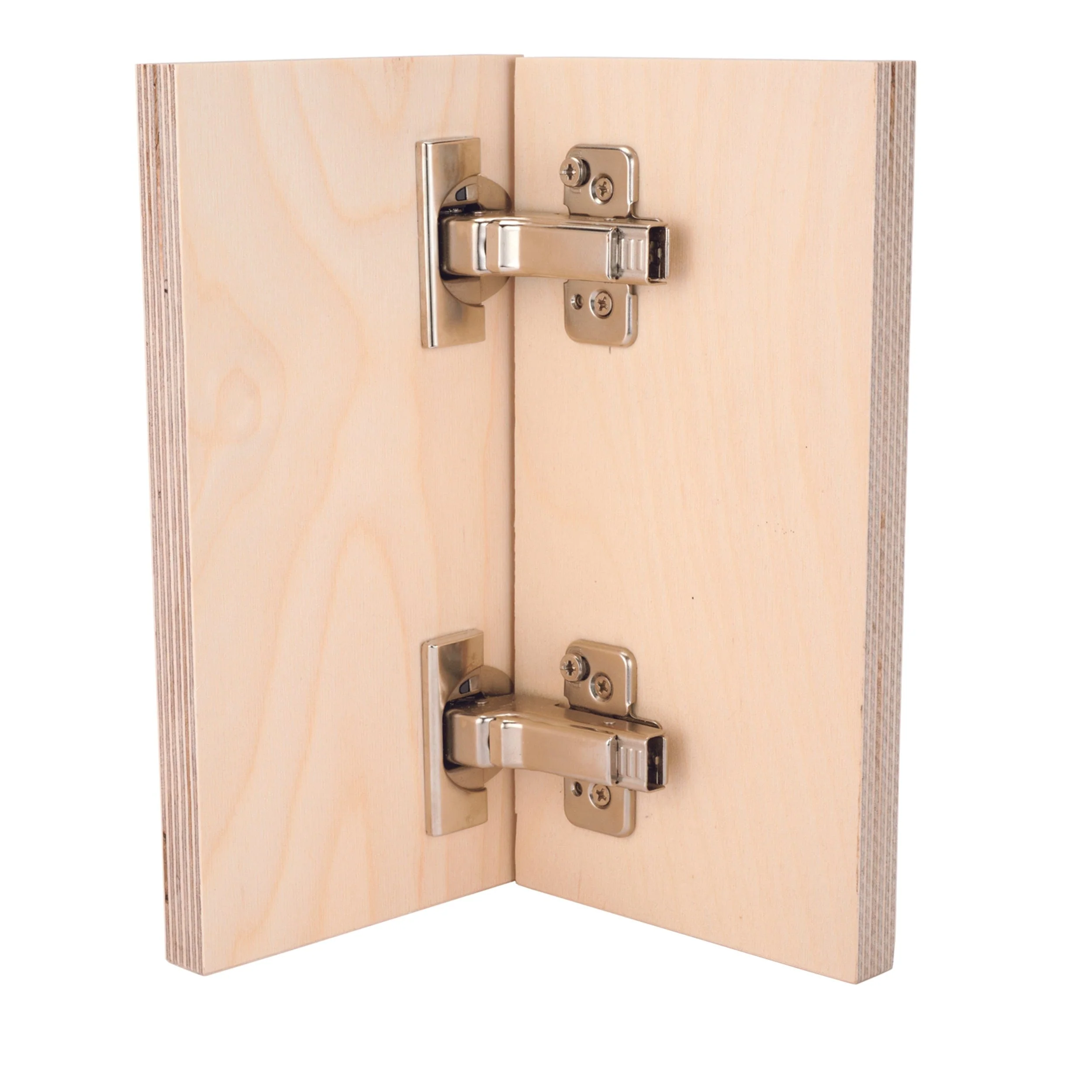 Clip Top Frameless Hinge - Pair