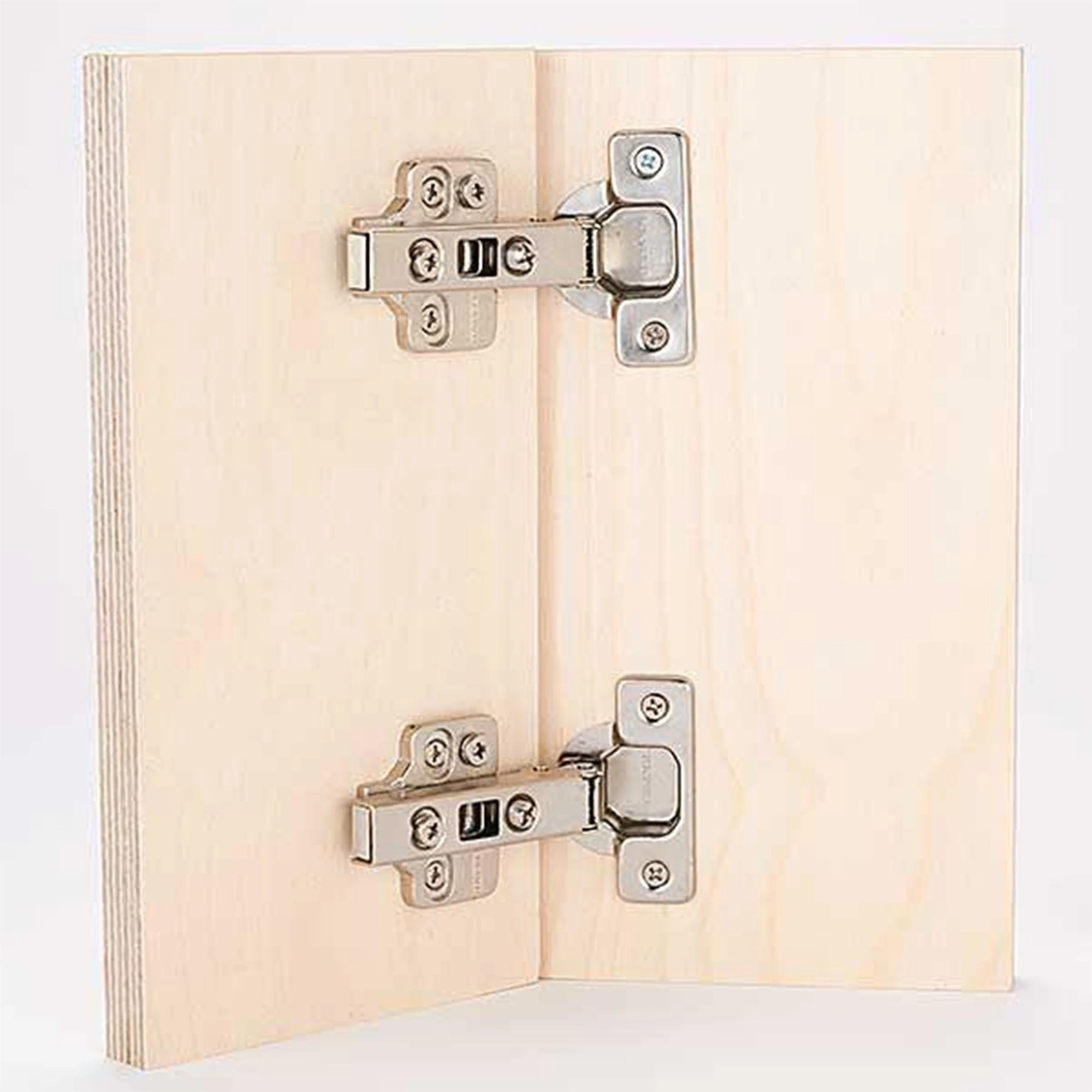 Frameless Hinge - Pair